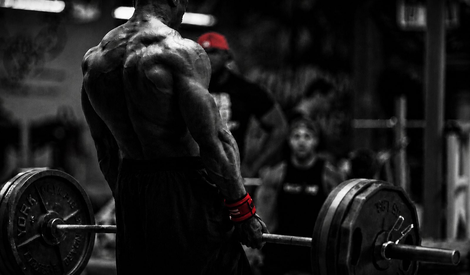 A lifter training in a gym, from AlphaShred’s training imagery.